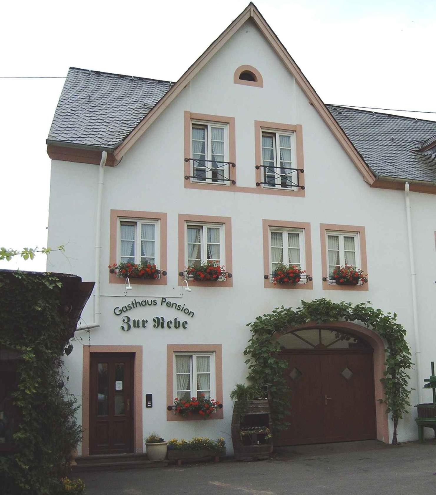 Gasthaus Zur Rebe Mehring  Esterno foto