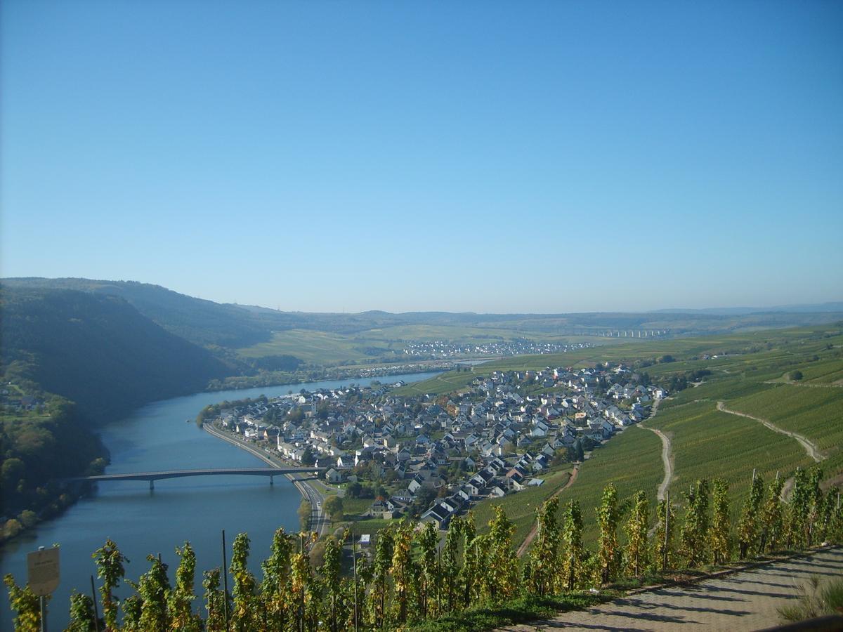 Gasthaus Zur Rebe Mehring  Esterno foto
